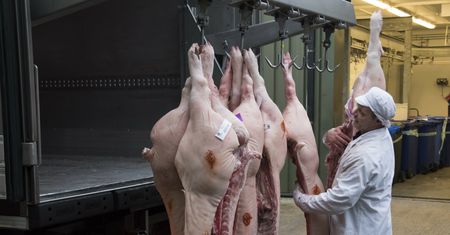Sprzedaż mięsa i nabiału w Europie maleje. Nadchodzi era zamienników?