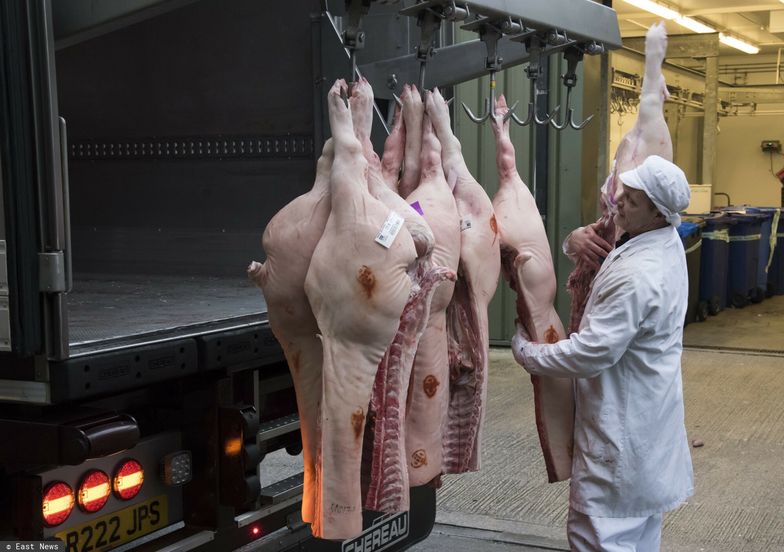 Sprzedaż mięsa i nabiału w Europie maleje. Nadchodzi era zamienników?