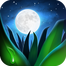 Relax Melodies: Sleep & Yoga icon