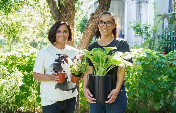 Od 11 kwietnia „Wymarzone ogrody” w HGTV