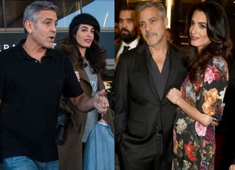 George i Amal Clooney skorzystali z in vitro. "Ich bliźnięta przyjdą na świat w czerwcu"