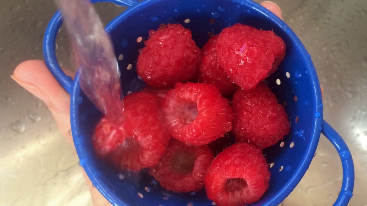 Maliny łatwo nasiąkają wodą i stają się niesmaczne