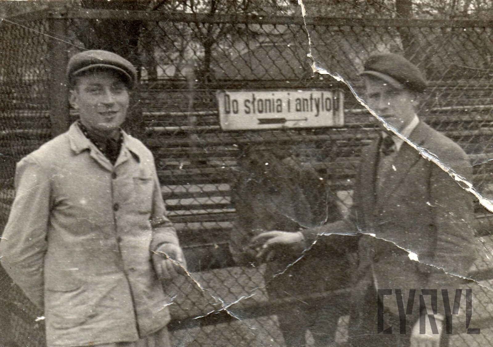 Jeżyce 