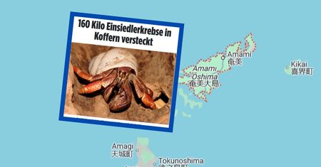 Zajrzeli Chińczykom do bagażu. Mieli ich 160 kilogramów