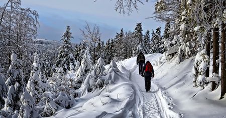 Pogoda długoterminowa na zimę 2021. Czeka nas zima stulecia?
