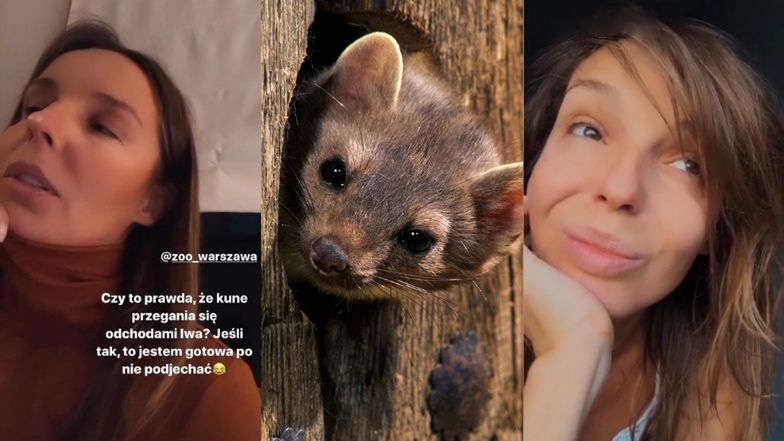 Agnieszka Włodarczyk ma problem z kunami