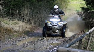 Będą wyższe kary za jazdę quadami po lasach. Rząd zaostrzy kodeks wykroczeń. To odpowiedź na apel leśników
