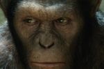 Andy Serkis znów w skórze szympansa