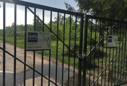 Warszawa. Łosiowe Błota nie tylko dla łosia. Leśna budowa w trybie ustawy koronawirusowej