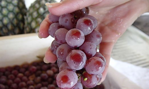 Winogrona zabijają komórki białaczki