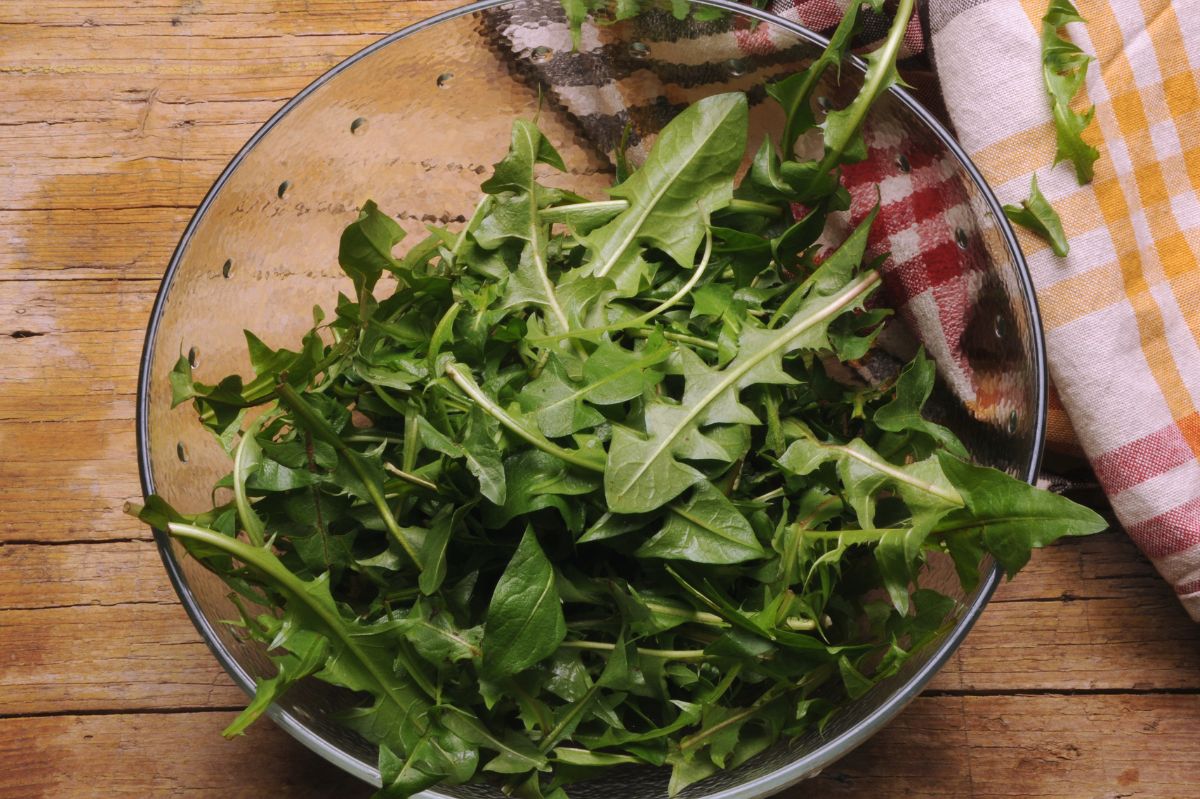 The art of crafting Dandelion Salad