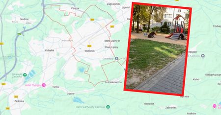 Taki widok na placu zabaw. Nagranie ma prawie pół miliona wyświetleń
