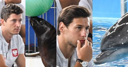 Lewandowski z kolegami podziwia foki z delfinami (ZDJĘCIA)