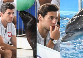 Lewandowski z kolegami podziwia foki z delfinami (ZDJĘCIA)