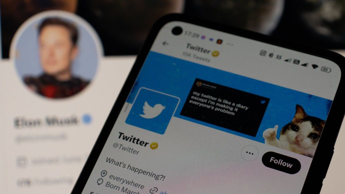 Horrendalne opłaty za Twitter Blue