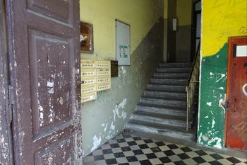 Wynajmują mieszkanie od PKP. Zalęgły się szczury, na ścianach pleśń