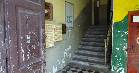 Wynajmują mieszkanie od PKP. Zalęgły się szczury, na ścianach pleśń