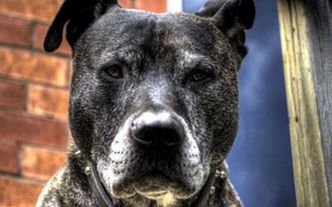 Co komornik może zabrać twoim dzieciom?