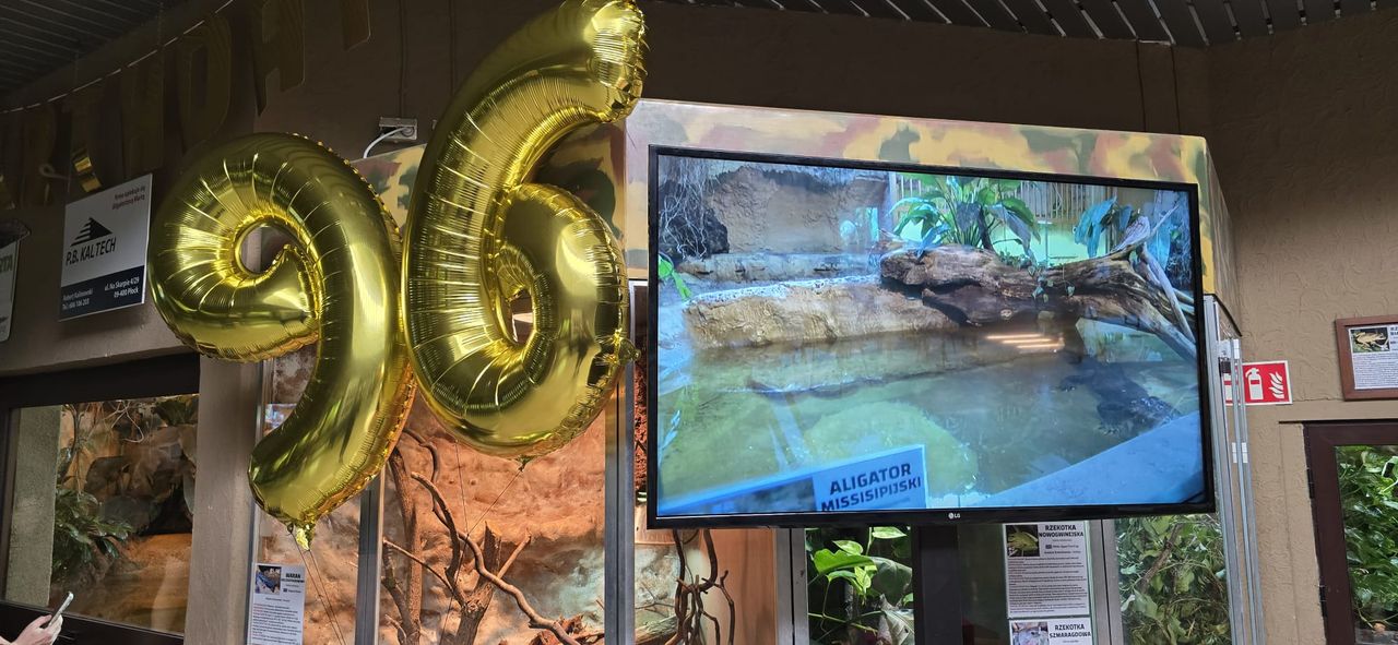 96. urodziny gwiazdy z Płocka. Marta znów skradła serca odwiedzających zoo!