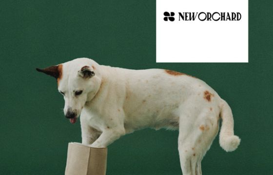 Proomni wypromuje wegańskie buty New Orchard