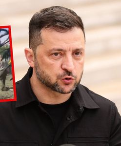 "Brakuje słów". Pokazał, co Rosjanie zrobili emerytom
