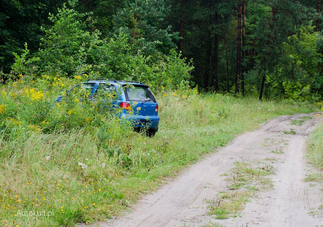 Do lasów przyjeżdżają grzybiarze lub turyści, ale też offroadowcy. Tu mamy konflikt.