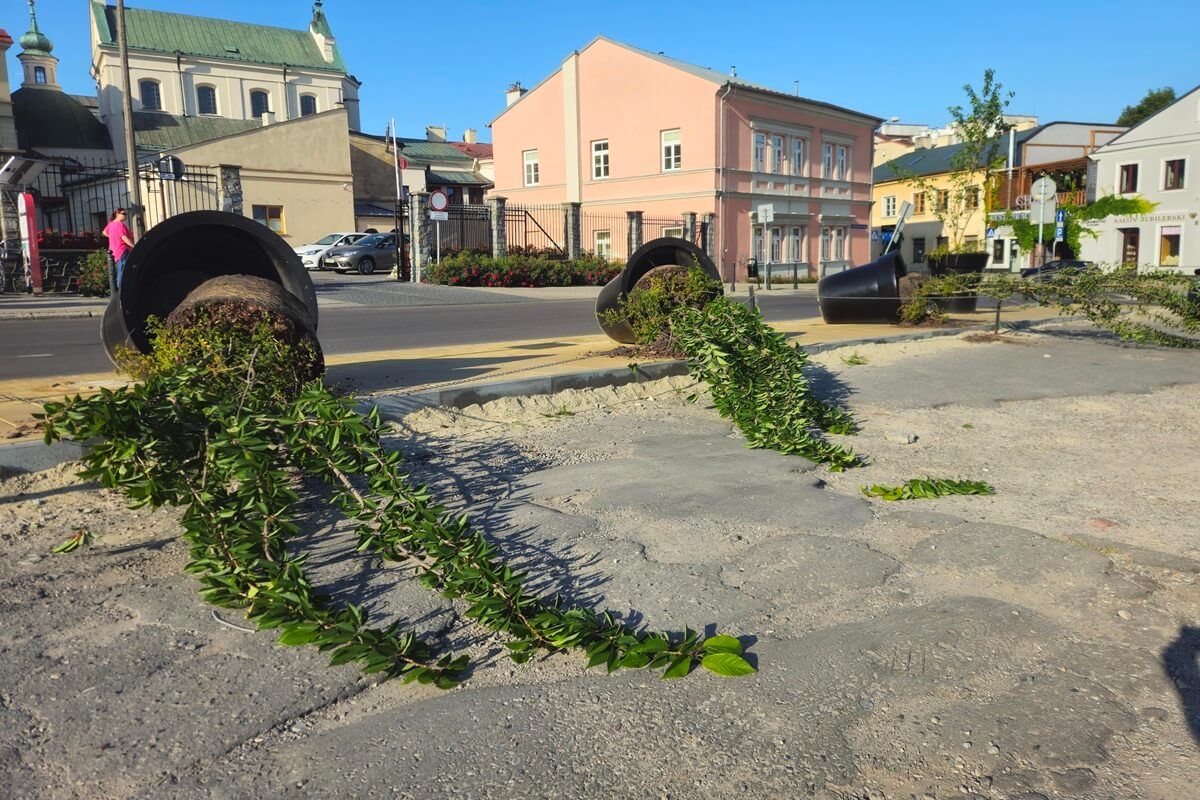 Przewrócone donice z drzewami na ul. Bajkowskiego w Lublinie
