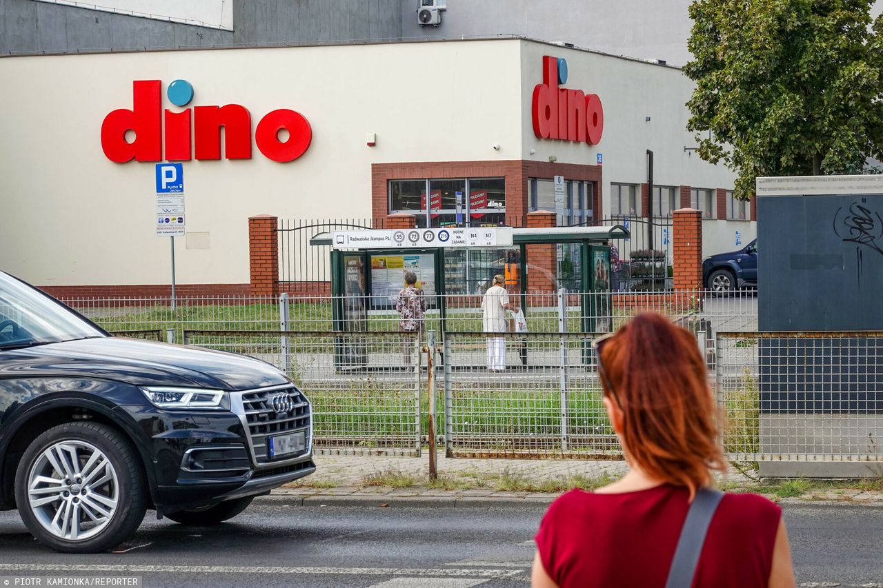Dino w Polsce jak Lidl w Niemczech. Oto co łączy te dwie sieci