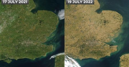 Niszczycielska fala upałów. Te zdjęcia mówią wszystko