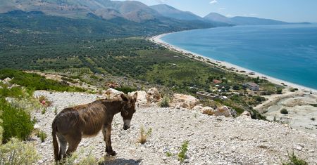 Albania - co krok to wspaniała opowieść