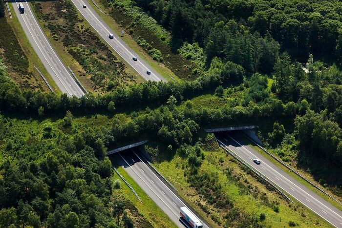 Wiadukt nad autostradą A1 w Holandii.