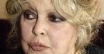 Brigitte Bardot do Carli Bruni: niech prezydent zakaże korridy