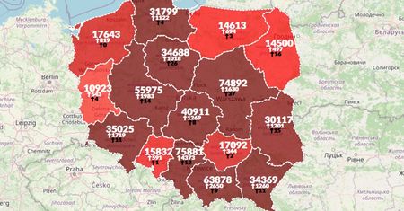 Mapa koronawirusa. Ponad 21 tys. nowych zakażeń w Polsce i prawie 50,5 mln chorych na świecie