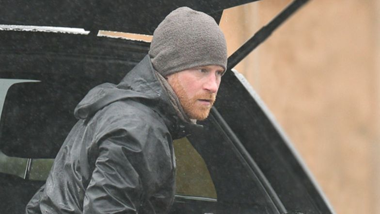 Książę Harry spaceruje z psem w deszczu