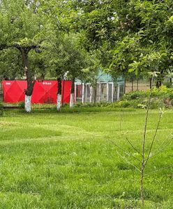 Ciała w pogorzelisku. Nowe informacje ws. matki dziewczynek