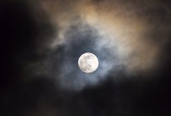 Pełnia Bobrzego Księżyca. Niezwykłe zjawisko jeszcze w listopadzie