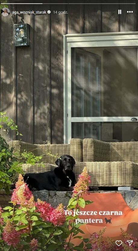 Tak mieszka Agnieszka Woźniak-Starak