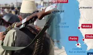 Całe jemeńskie wybrzeże w rękach Huti. "Wszystko zostało utracone"