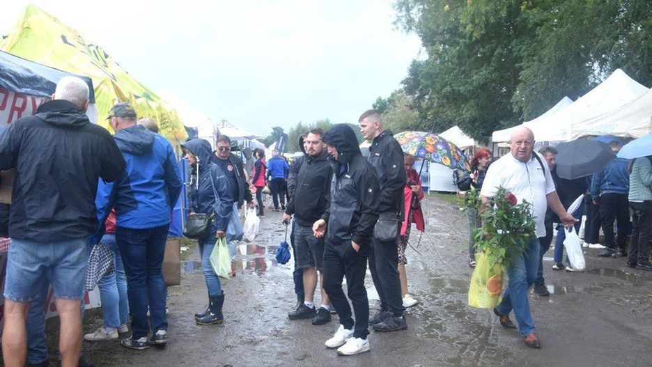 Tłumy uczestników przybyły w niedzielę 7 września 2025 r. do Strzelec Dolnych na Święto Śliwki
