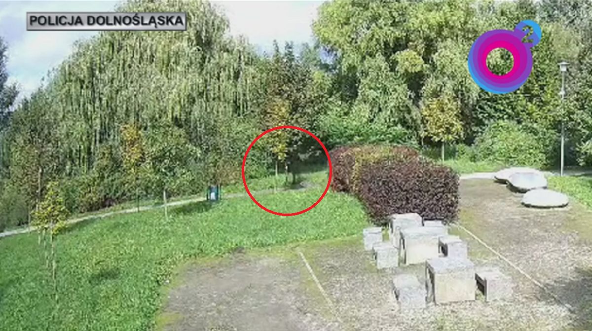 17-latek chciał uciec policjantom. Zrobił to na hulajnodze