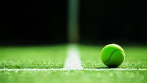 Sensacja na Wimbledonie | Fery – Zverev: transmisja i stream za darmo. Gdzie oglądać?