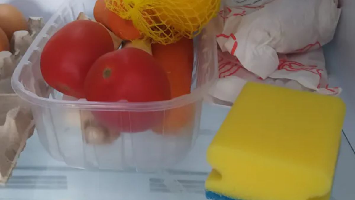 Gąbka do mycia naczyń w lodówce