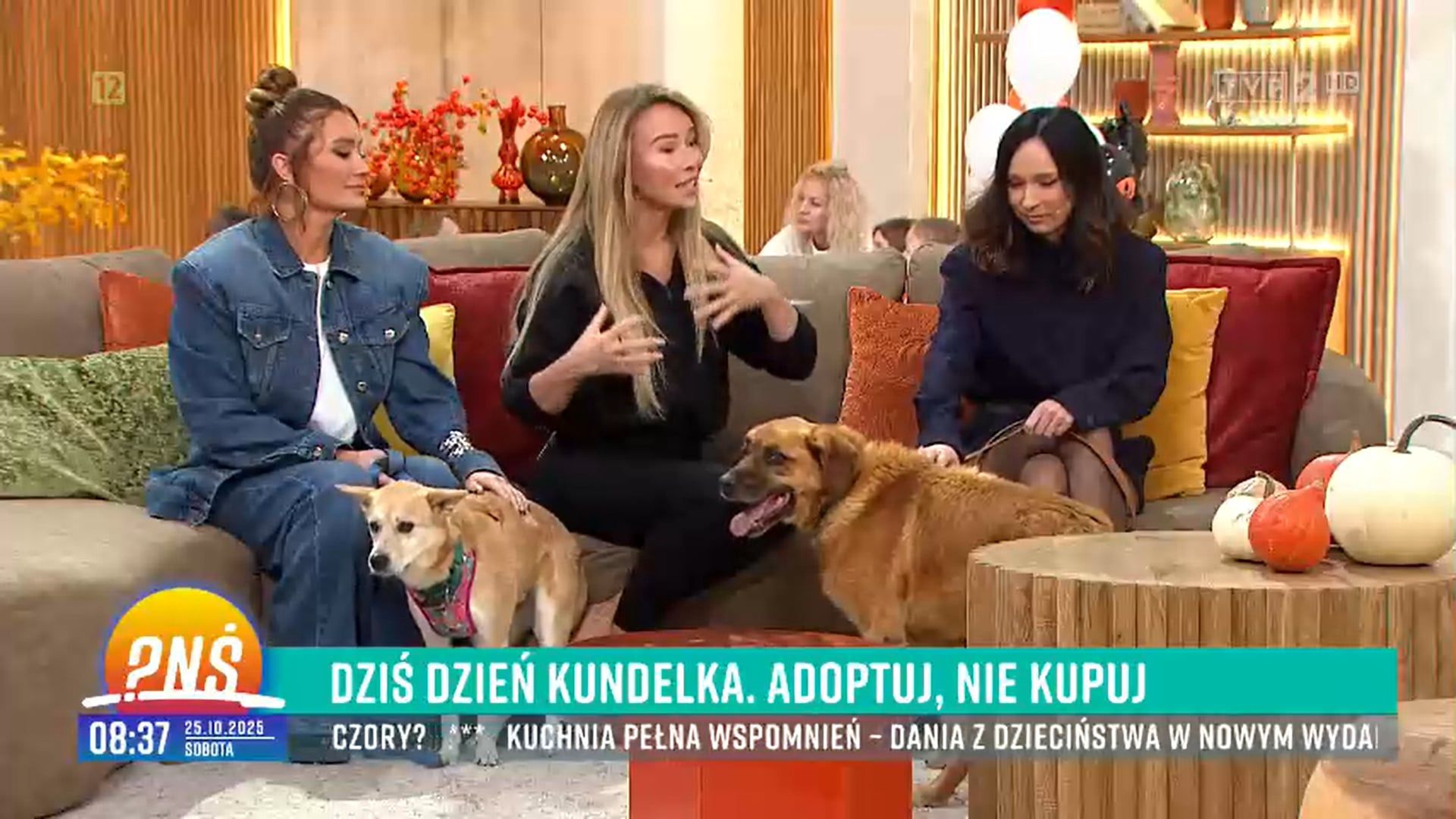 Dzień Kundelka