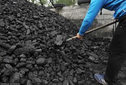 PGG: nawet 30 tys. osób dziennie chce kupić węgiel przez internet