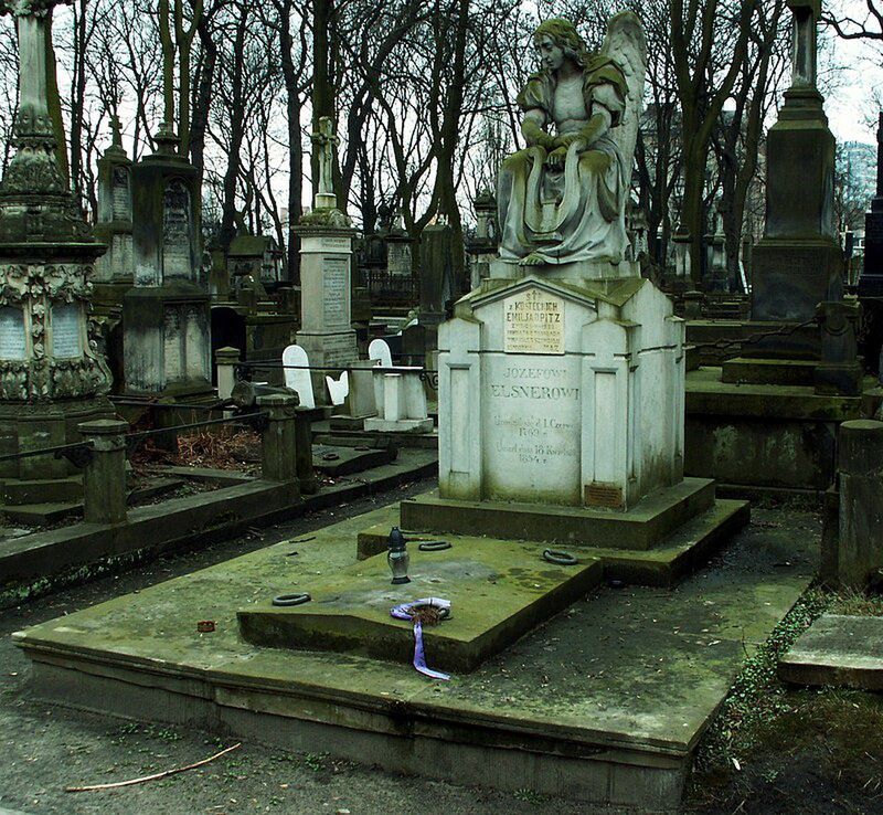 Grób Józefa Elsnera na Starych Powązkach