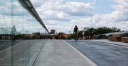 Poznań: Przez szklane balustrady Mostów Berdychowskich giną ptaki