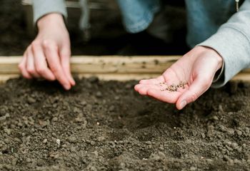 To już ostatni dzwonek. Latem zbierzesz obfite plony