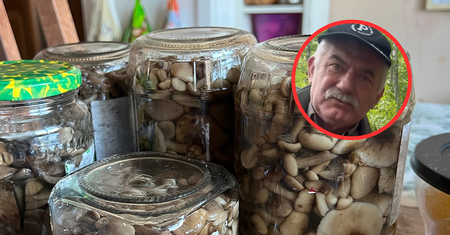 "Masowy wysyp". Polacy mówią, co znajdują w lasach, leśnicy obalają mit