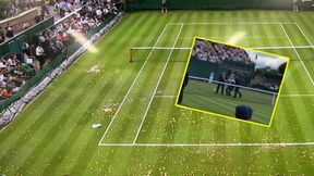 Środki bezpieczeństwa zawiodły. Zakłócili mecz Wimbledonu