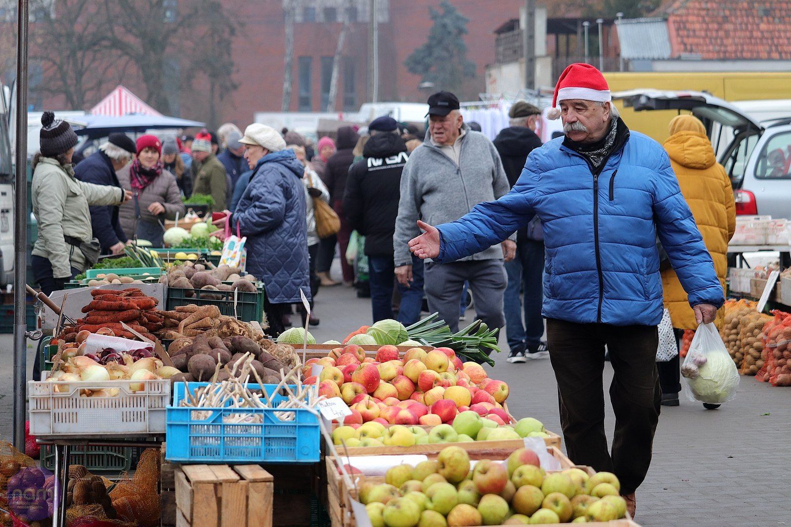 Na targowisku miejskim przy ul. Kaliskiej we Włocławku kupisz tanie owoce i warzywa, ale także ryby, choinki i świąteczne dekoracje. Sobota, 6 grudnia 2025 roku